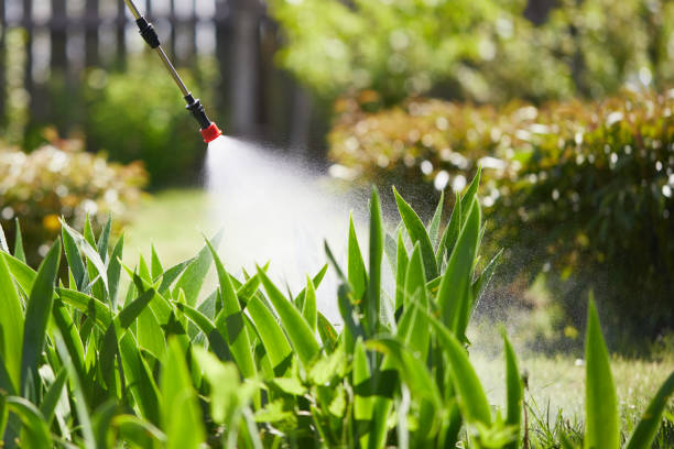 24/7 Emergency Mosquito Control experts in Sandy, OR