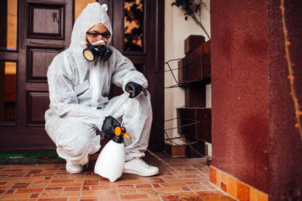Reliable Mosquito Control contractor in Sandy, OR by Show Me Pest Control